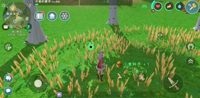 《创造与魔法》春季夏季稻谷种植全攻略